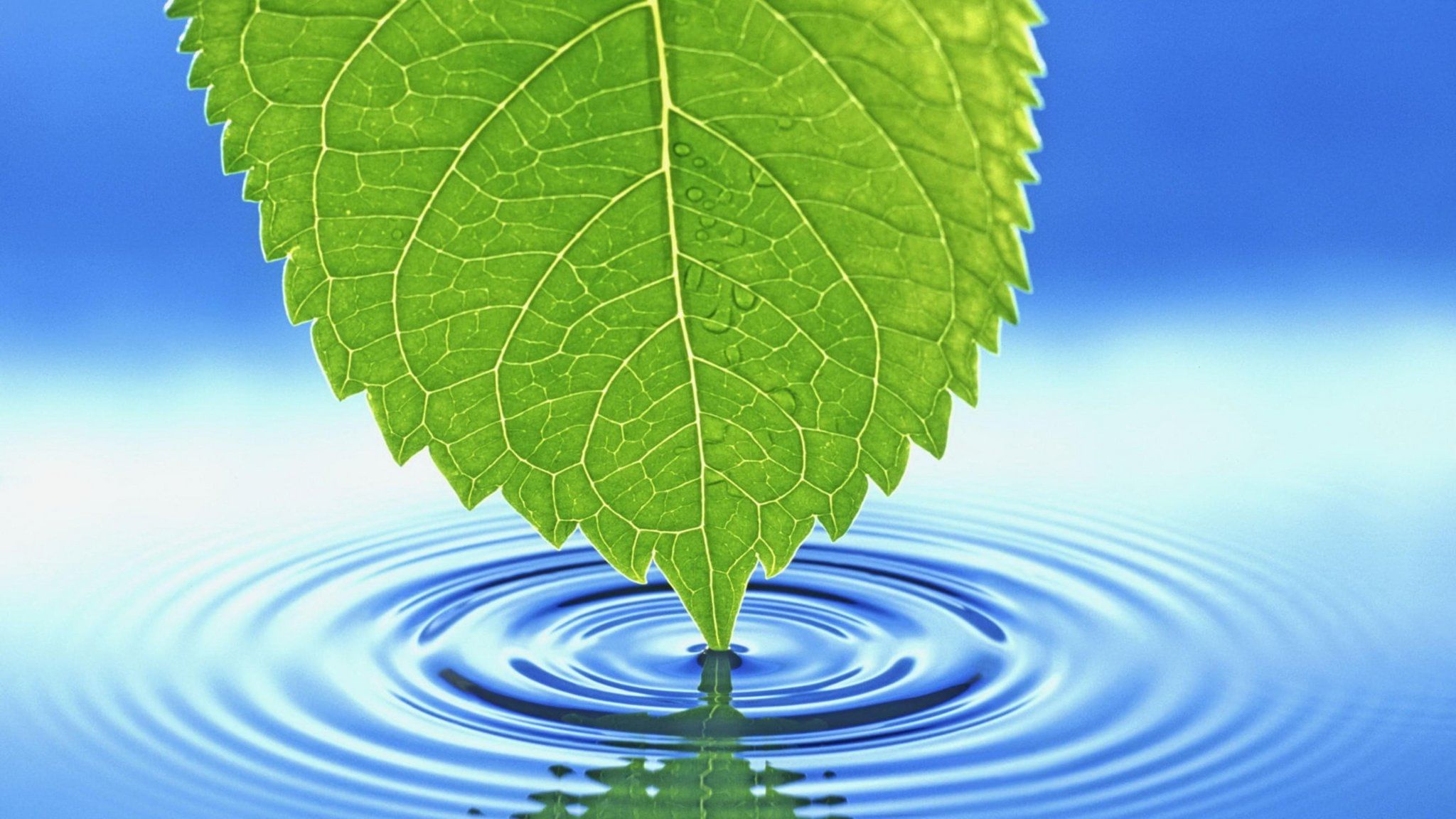 Вода