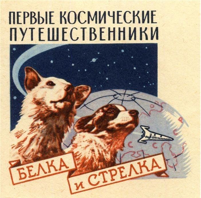 Космос между нами